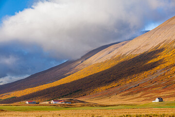 Landscape with lone farms in autumn colors in northern Iceland