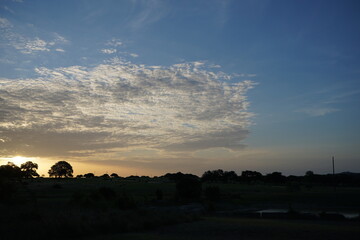 Fototapeta na wymiar テキサス州ドリッピングスプリングスの草原で見た朝日