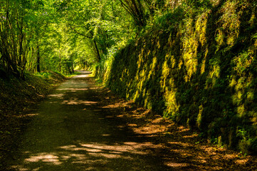 Vía Verde del Plazaola de Sarasa a Andoain