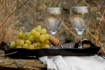 Wine glasses and grapes on wooden tray in nature, agricultural, viticultural concept