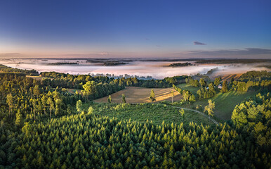 Light rays trough thick fog over a river in a misty summer morning. Rural landscape covered with pine forest and farm land.