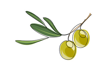 Green olives. Olive branch with fruits and leaves isolated on white background. Vector illustration © GarkushaArt
