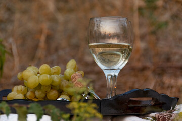 Wine glasses and grapes on wooden tray in nature, agricultural, viticultural concept
