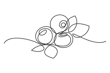 Blueberries in continuous line art drawing style. Group of blueberry fruits and leaves minimalist black linear sketch isolated on white background. Vector illustration