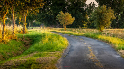 Obraz premium Reportage Nature