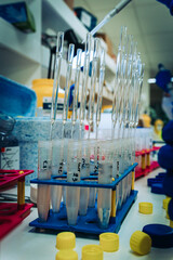 Scientist preparing gradient in laboratory environment with light