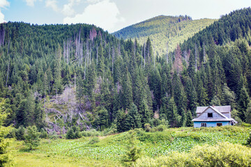 Fototapeta na wymiar Old abandoned village house surrounded by green forest in the Carpathian mountains, Burkut, Ukraine