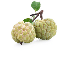 Sugar apple or custard apple isolated on white background with clipping path and full depth of field. Exotic tropical Thai annona or cherimoya fruit