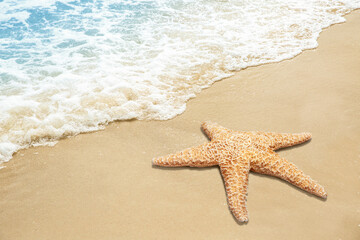 Fototapeta na wymiar Beautiful waves and sea star on sandy beach