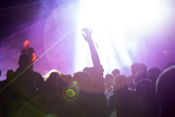 Crowd at concert - summer music festival