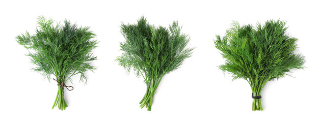 Set with bunches of fresh dill on white background, top view. Banner design