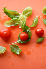 Close-up tomatoes and basil on an orange background. 