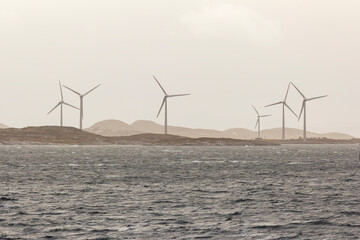 Wind farm consisting of many individual wind turbines