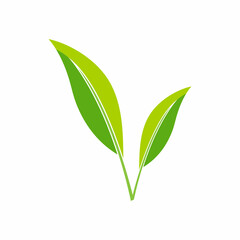 Leaf icon Vector Illustration design Logo template