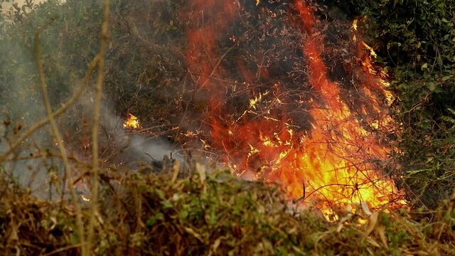Farmers set deforestation fires in the Brazilian Pantanal to clear land
