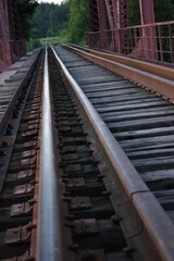 railroad tracks in the forest