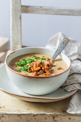 Homemade boletus cream with noble mushrooms. Creamy Boletus soup.