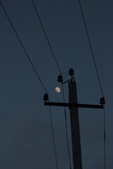 power lines