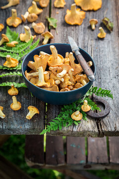 Wild mushrooms freshly picked from forest. Wild and fresh mushrooms.