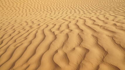 Desert landscape with dunes in the Sahara Desert near Douz, Tunisia.