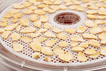 Tray with chopped garlic cloves for use in a dehydrator