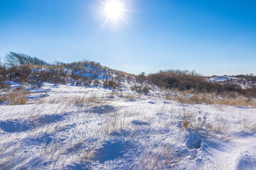 Snowy and ice winter landscape at the Amsterdamse Waterleidingduinen