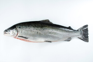 Salmon imported from Norway on a white background