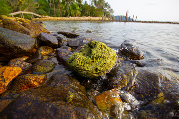 Fototapeta na wymiar Beautiful rocks on the beach with calm water.