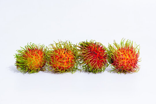 four Lambutan on a white background