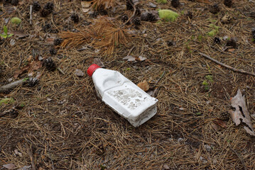 bottle lying in the forest ecology plastic