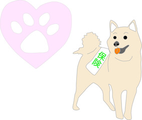 犬の健康保険のイメージ