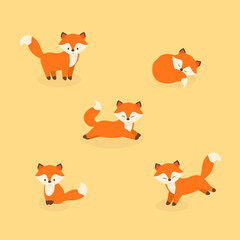 This is a set of foxes isolated on a light background.