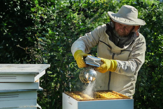 54,585 BEST Beekeeper IMAGES, STOCK PHOTOS & VECTORS | Adobe Stock