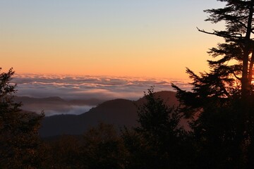 雲取山の夜明け。雲取山荘から見た日の出。空と雲海がオレンジ色に染まる。
