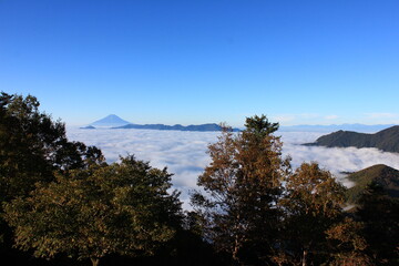 東京の最高峰「雲取山」のからの風景。雲海に浮かぶ夏の富士山。