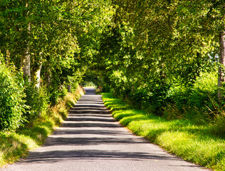 Cotswolds Countryside