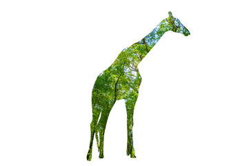 World Wildlife Day forest silhouette in the shape of a wild animal wildlife and forest conservation concept