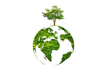 Foto op Canvas earth day tree on green earth on white isolate background © sarayut_sy