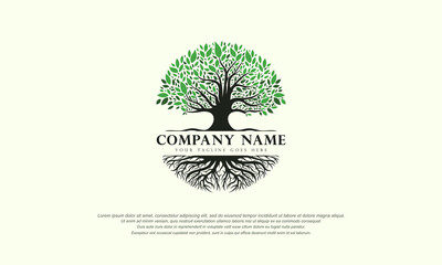 Obraz premium Tree of life logo abstract vector illustration template design on white background