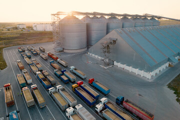 Grain terminals of modern sea commercial port. Silos for storing grain in rays of setting sun. Many trucks are waiting in line for unloading in port harbor, top view from quadcopter. Logistics, trade