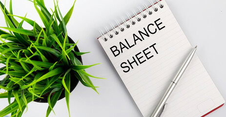 Keyword BALANCE SHEET - business concept text on a white notebook and pen, green flowers