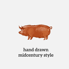 Hand drawn illustration of pig, Berkshire breed, in Midcentury painterly style.