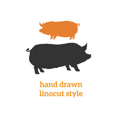 Set of 2 hand drawn illustrations of pig, Berkshire breed, in linocut style.