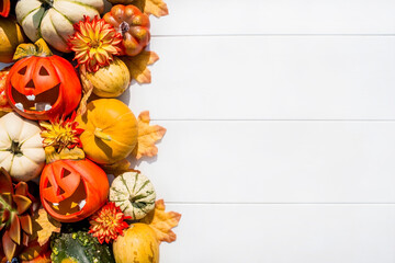 Harvesting.Autumn frame made of pumpkins, leaves, rowan berries and succulents on a white wooden background. The concept of the Halloween holiday. A copy of the place for the text.