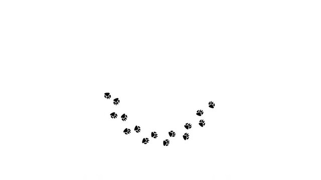 Dog foot prints download animation.