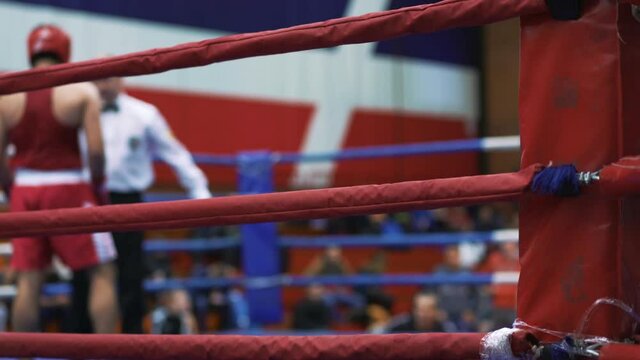 Boxing match in the ring. Two participants competing with each other. The referee watching the fight. Red-blue ring square shape. Boxing tournament. Competitions of fighters in helmets and gloves.