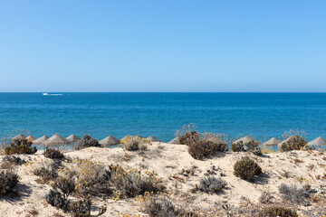 Fototapeta na wymiar Beach and sea in summer, Praia do Garrão, Almancil, Algarve