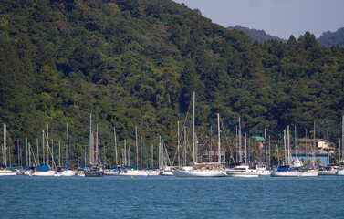 Saco da Ribeira Harbor with a lot a botes and yachts with the rain forest behind. Ubatuba, Brazil. 