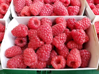 Raspberry