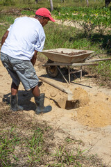 Homem do campo se dedica a plantar pelo bem do planeta
